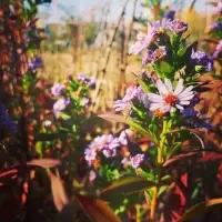 DeviantArt - moje fotografické pokusy